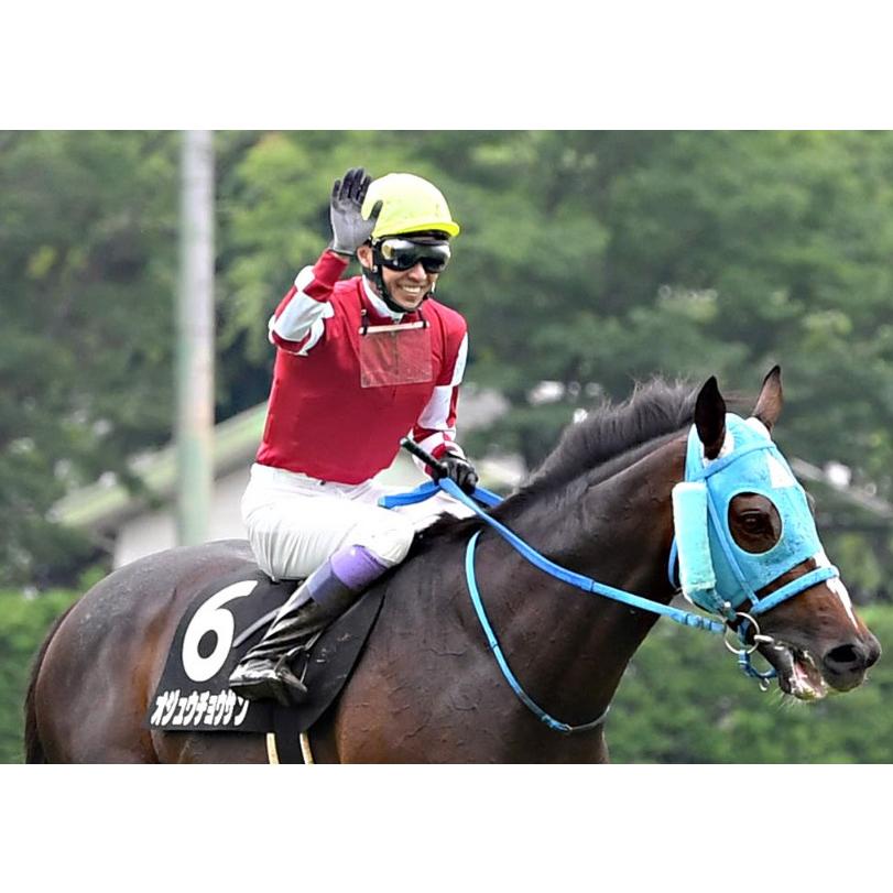 稀少】ナリタブライアン 競馬 ぬいぐるみ ウマ娘アイドルホース 馬