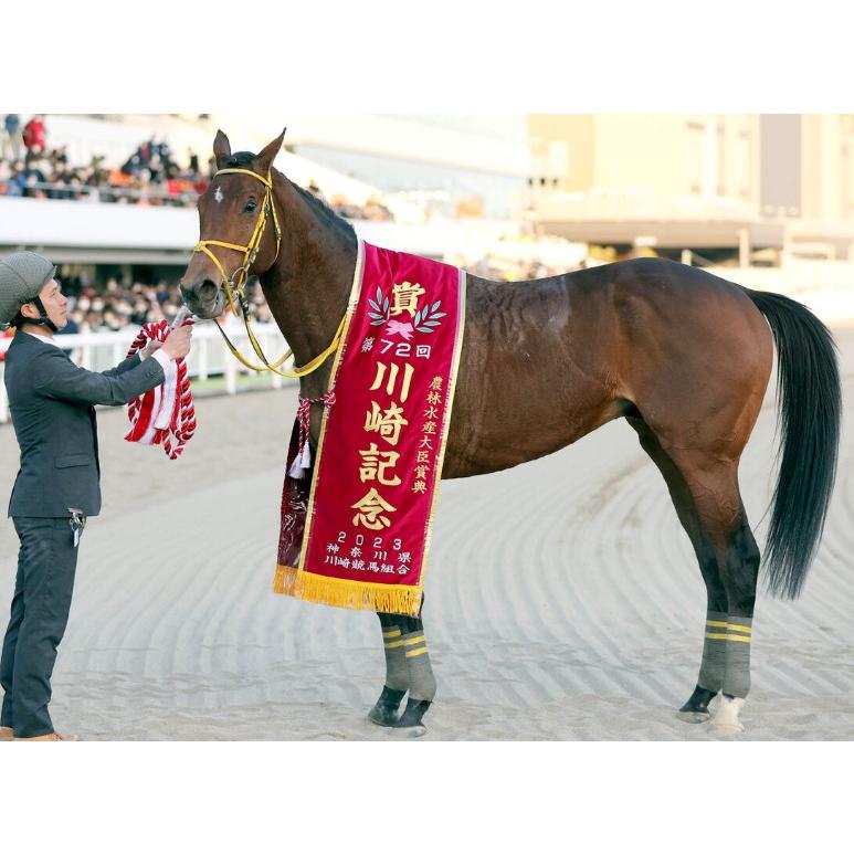 ウシュバテソーロ ぬいぐるみ Sサイズ アイドルホース 競馬 2023ドバイ