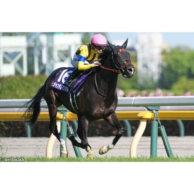 ジャンタルマンタル ぬいぐるみ Mサイズ アイドルホース 競馬グッズ 第