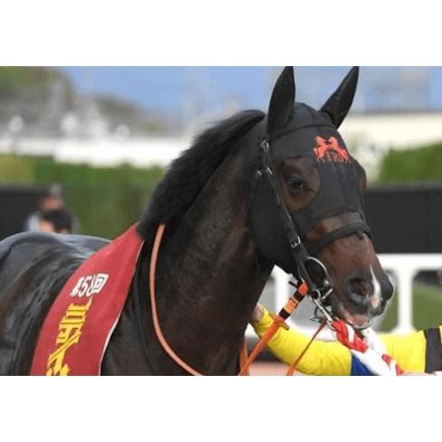 ジャンタルマンタル ぬいぐるみ Sサイズ アイドルホース 競馬グッズ 第