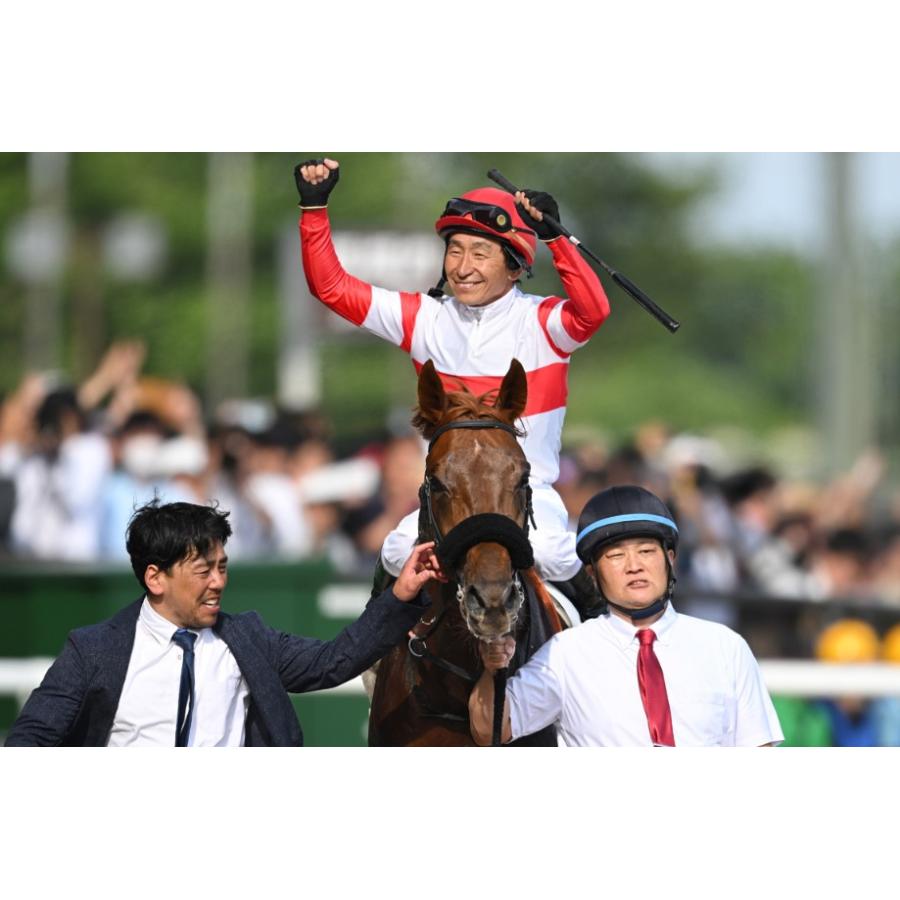 ダノンデサイル ぬいぐるみ Sサイズ アイドルホース 競馬グッズ 第91回