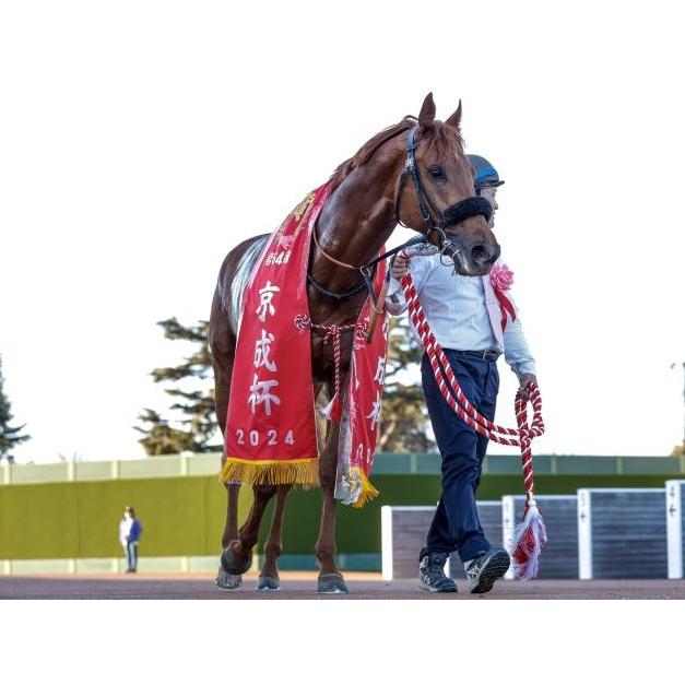 ダノンデサイル ぬいぐるみ Sサイズ アイドルホース 競馬グッズ 第91回