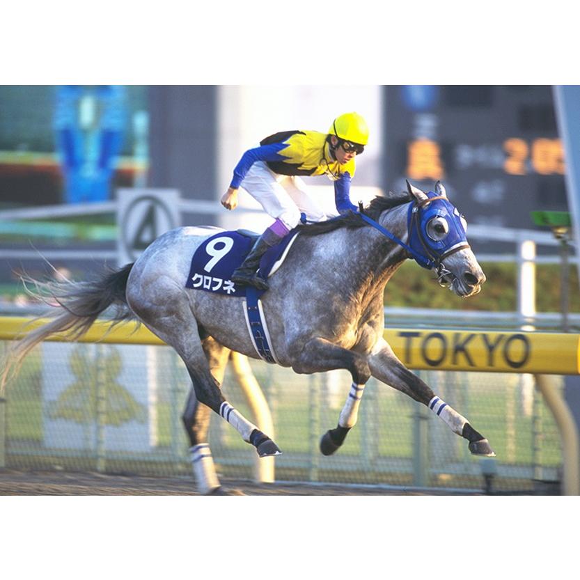 クロフネ ぬいぐるみ Sサイズ 競馬 アイドルホース 第2回ジャパン