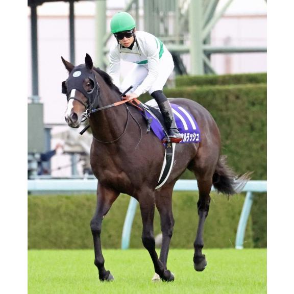 ソウルラッシュ ぬいぐるみ Mサイズ アイドルホース 2025年