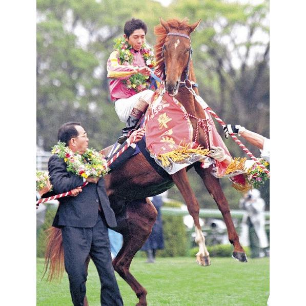 テイエムオペラオー ぬいぐるみ Sサイズ アイドルホース 第45回有馬