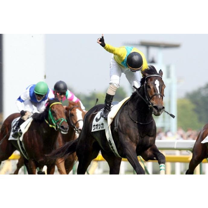 ウオッカ ぬいぐるみ Mサイズ アイドルホース 第74回日本ダービー優勝