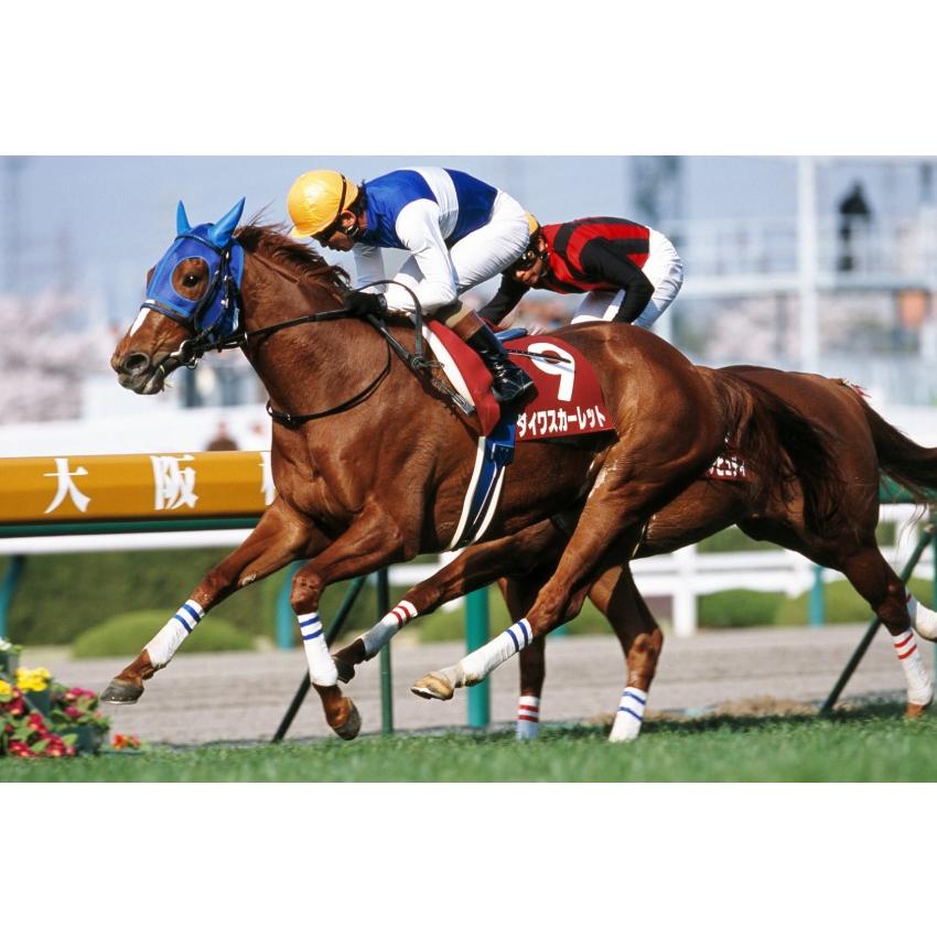 ダイワスカーレット ぬいぐるみ Mサイズ アイドルホース 第53回有馬