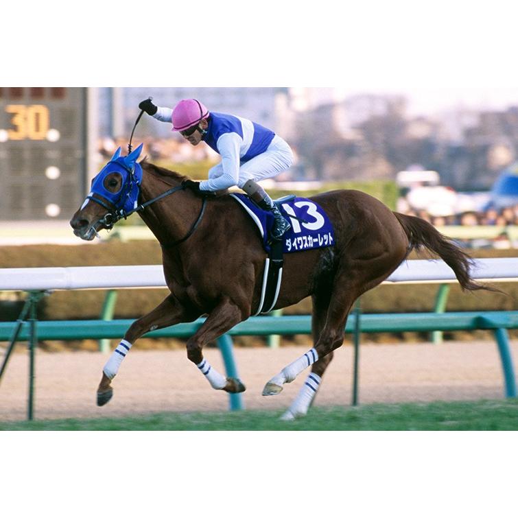 ダイワスカーレット ぬいぐるみ Mサイズ アイドルホース 第53回有馬