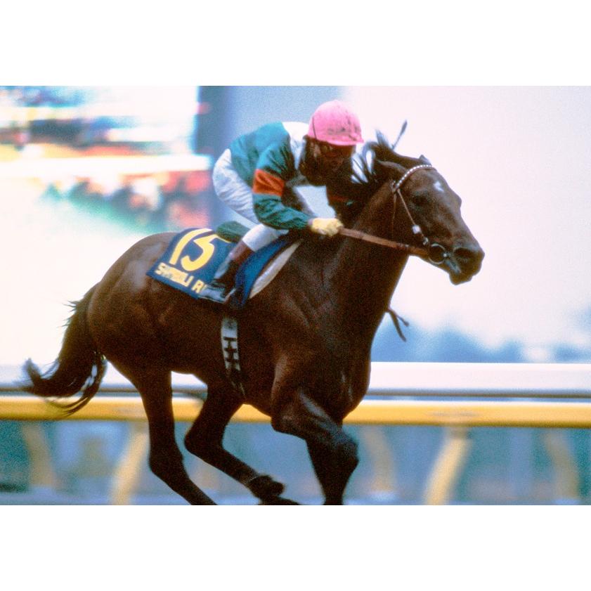 シンボリルドルフ ぬいぐるみ Mサイズ 競馬 アイドルホース 第51回日本