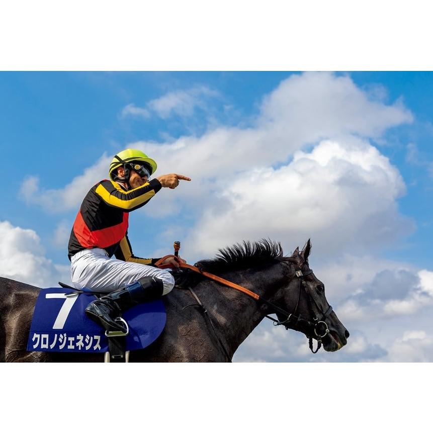 クロノジェネシス ぬいぐるみ Mサイズ 競馬 アイドルホース 第62回宝塚