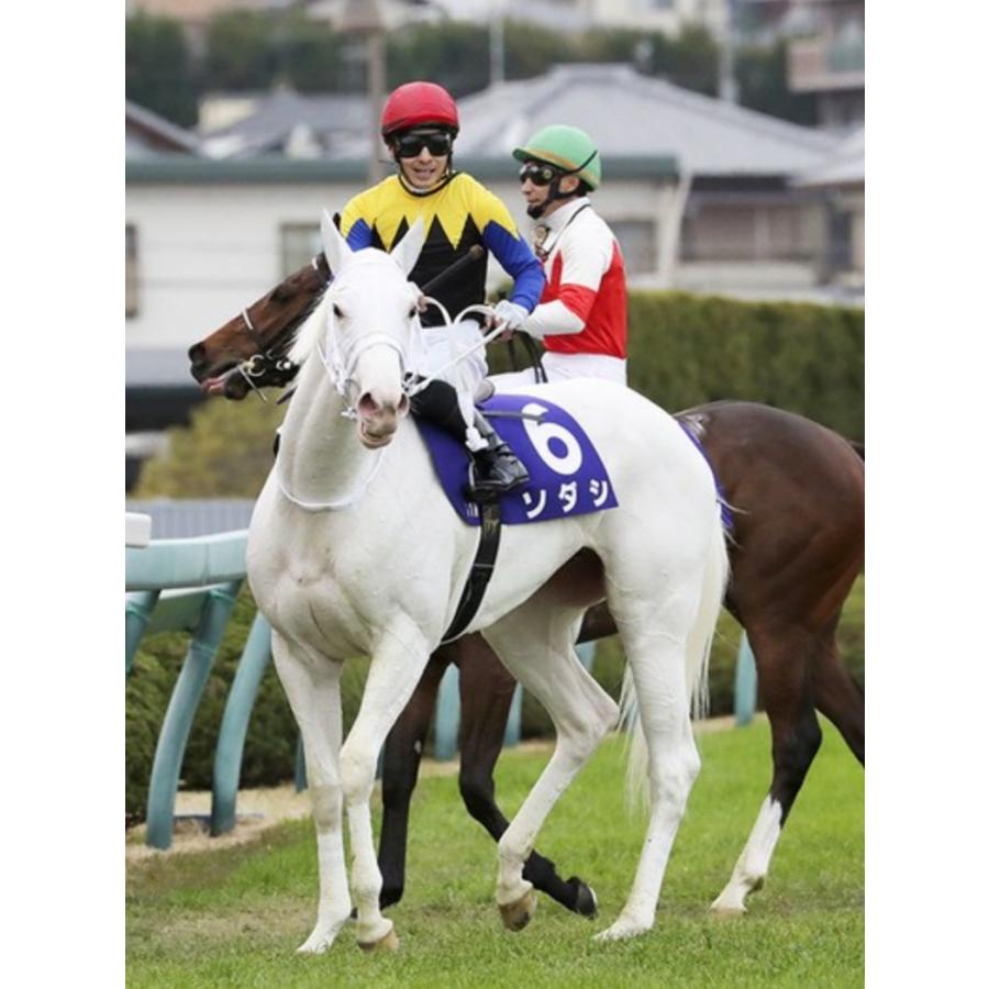 ソダシ（メイクデビュー函館Ver！） Sサイズ アイドルホース 競馬