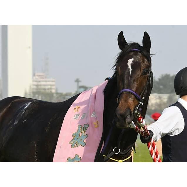 スターズオンアース ぬいぐるみ Mサイズ 競馬 アイドルホース 第83回