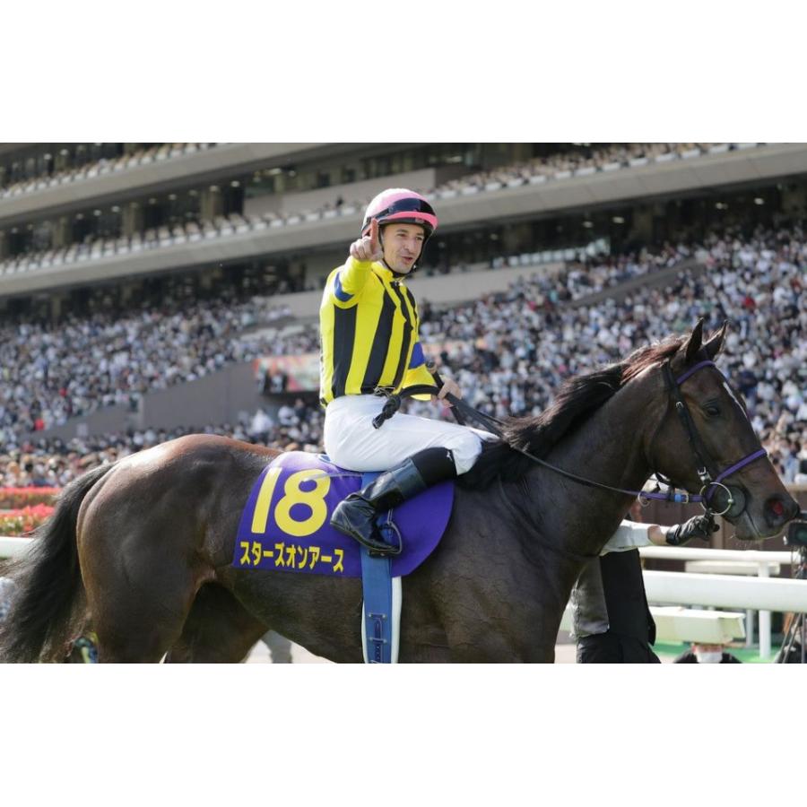 スターズオンアース ぬいぐるみ Mサイズ 競馬 アイドルホース 第83回