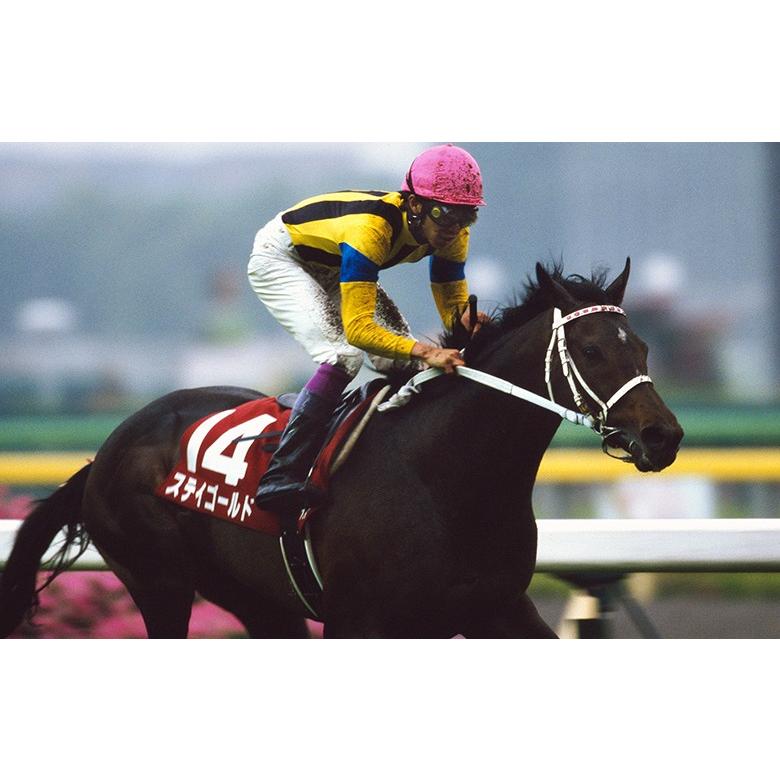 ステイゴールド ぬいぐるみ Mサイズ 競馬 アイドルホース 01年 香港