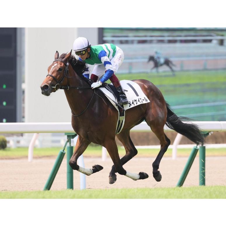 メイケイエール ぬいぐるみ Mサイズ 競馬 アイドルホース 22年京王杯