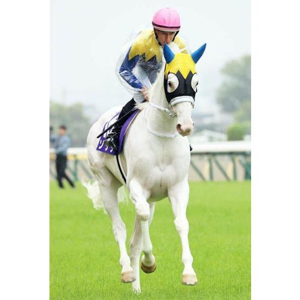 ソダシ ぬいぐるみ 超ビッグサイズ アイドルホース 競馬 第17回