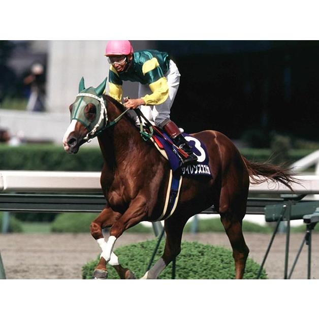 サイレンススズカ ぬいぐるみ くっつきマスコット アイドルホース 競馬