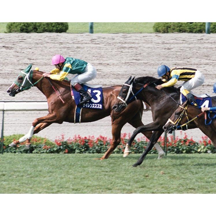 サイレンススズカ ぬいぐるみ くっつきマスコット アイドルホース 競馬