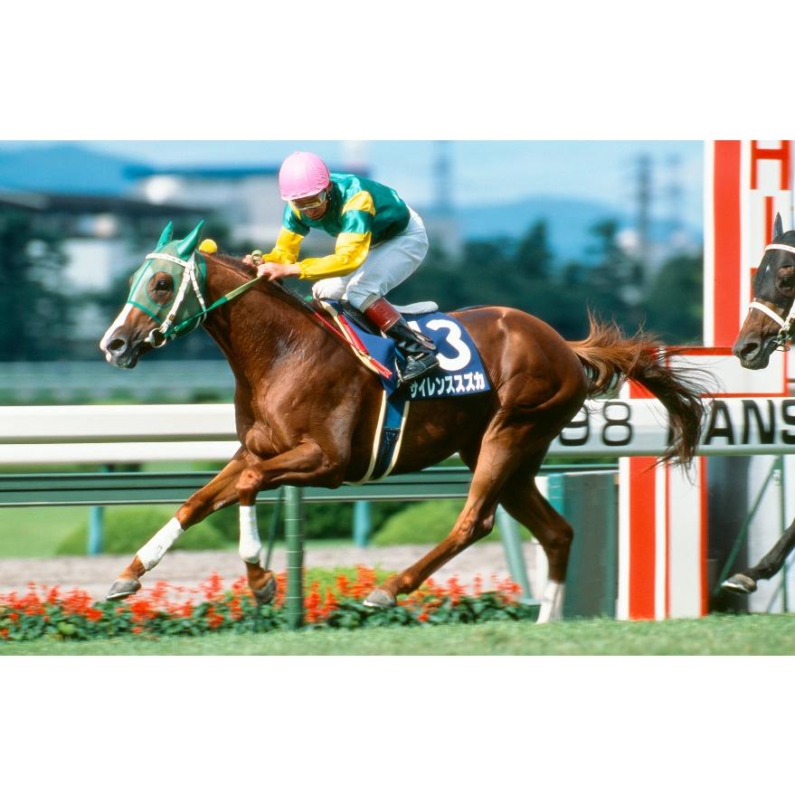 サイレンススズカ ぬいぐるみ くっつきマスコット アイドルホース 競馬