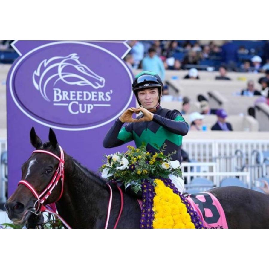 ラヴズオンリーユー ぬいぐるみ Mサイズ アイドルホース 21BCフィリー