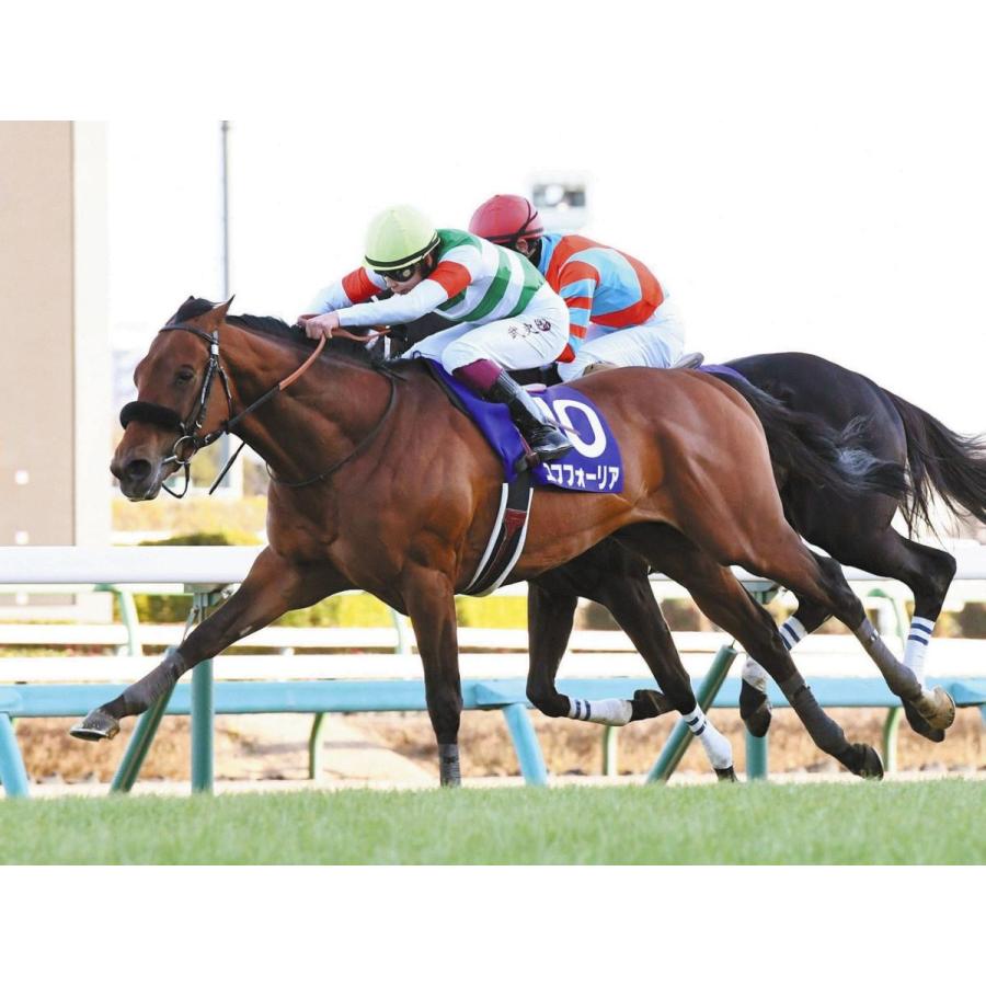 エフフォーリア ぬいぐるみ Mサイズ アイドルホース 第66回有馬記念