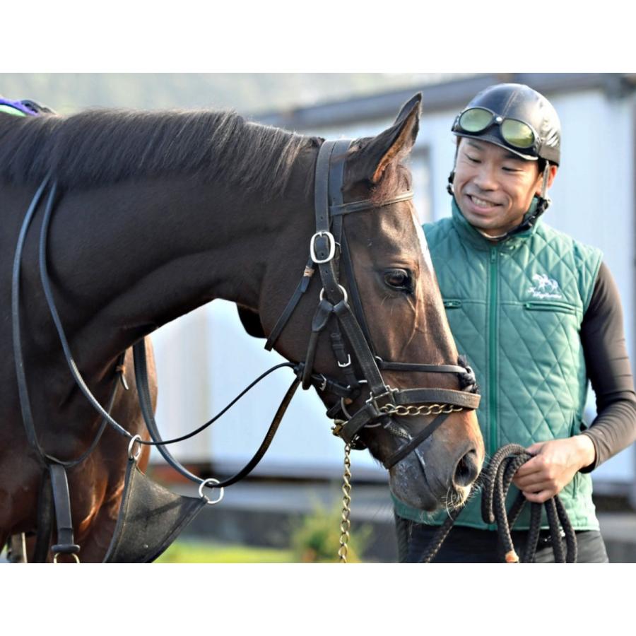 グランアレグリア ぬいぐるみ Sサイズ アイドルホース 第38回マイルCS