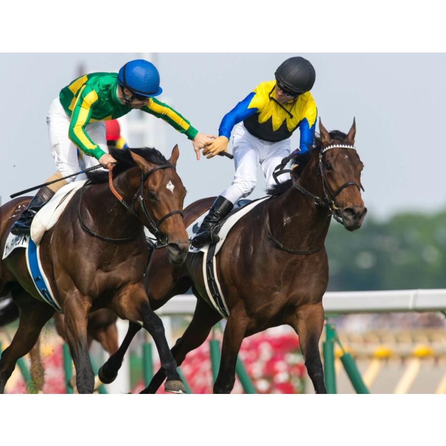 サトノダイヤモンド ぬいぐるみ Mサイズ 競馬 アイドルホース 第61回