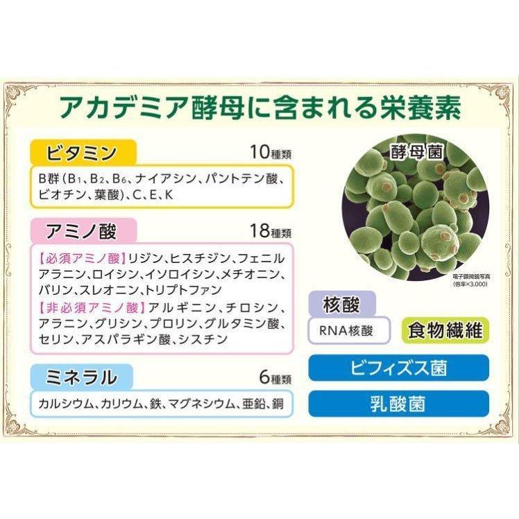 アカデミア酵母 お試し15包 ビフィズス菌 乳酸菌 箱なし特価 賞味期限