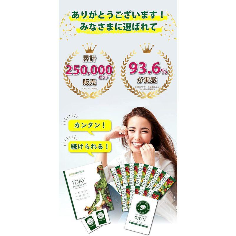 GB 1DAY CLEANSE SET ワンデイクレンズセット ファスティング