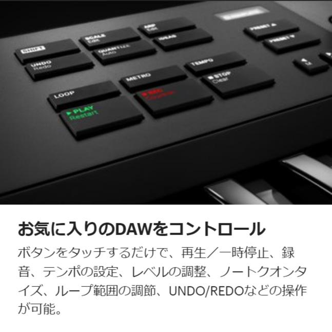 Native Instruments（NI) KOMPLETE KONTROL A49 MIDIキーボード 49鍵盤