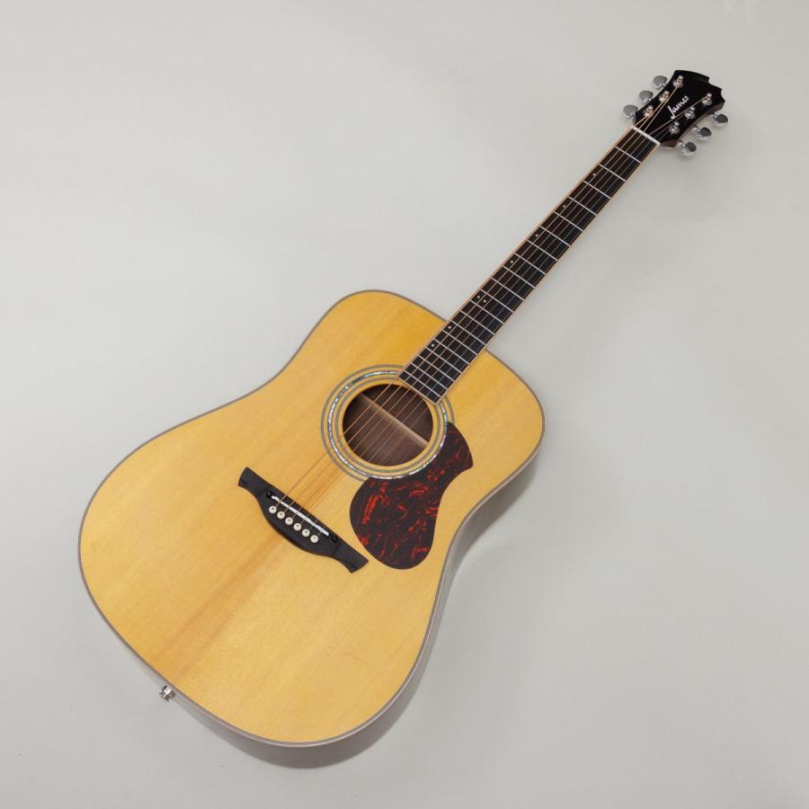 ジェームス（James） J-500L VNT エレアコ アジャスタブルサドル搭載