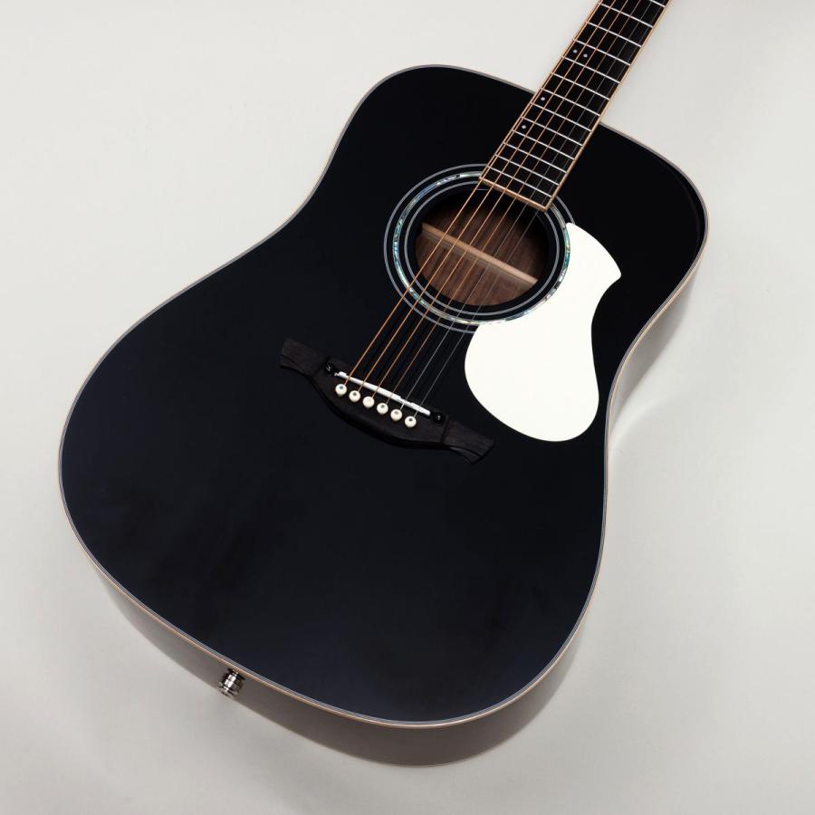 ジェームス（James） J-500L BLK エレアコ アジャスタブルサドル搭載