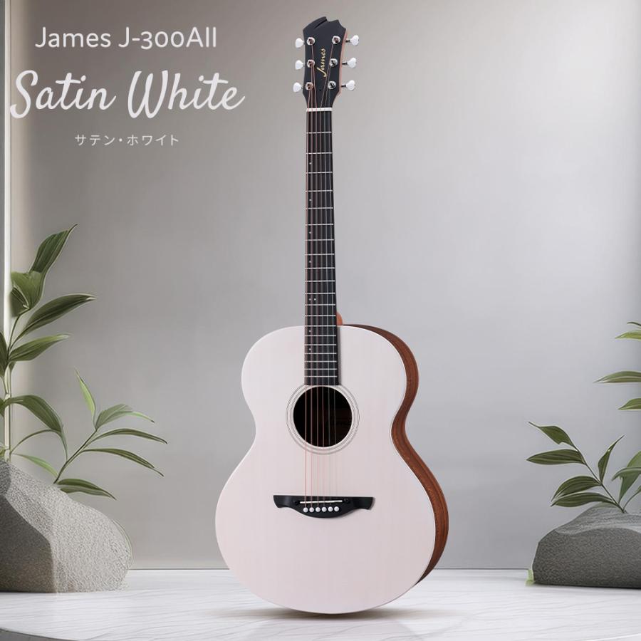 ジェームス（James） J-300AII アコースティックギター トップ単板