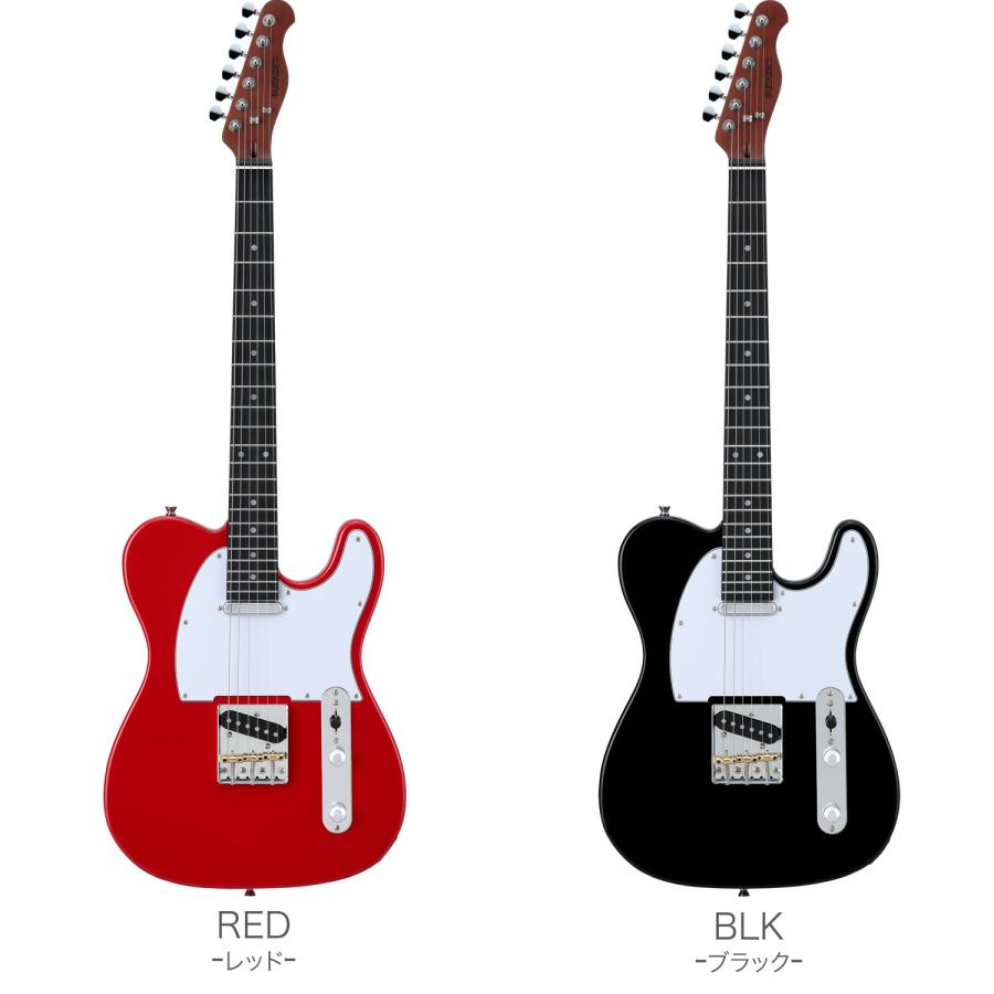 BUSKER'S バスカーズ BTL-Standard 初心者セット〔軽量モダンデザイン