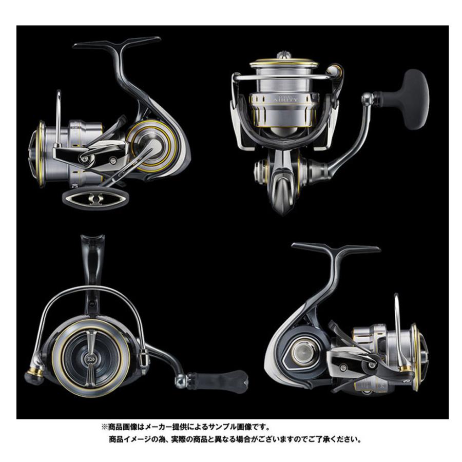 DAIWA（ダイワ） '21 LUVIAS AIRITY(ルビアス エアリティ) LT 4000-CXH