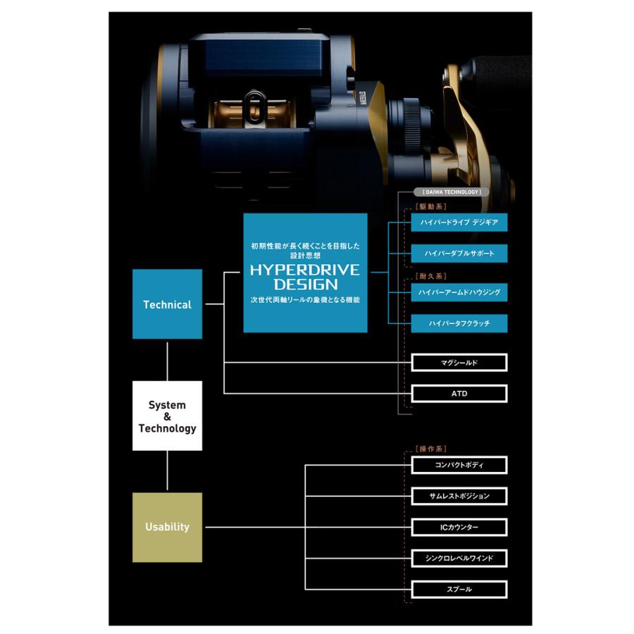 DAIWA（ダイワ） '21 SALTIGA IC(ソルティガ IC) 300-DH (右巻き