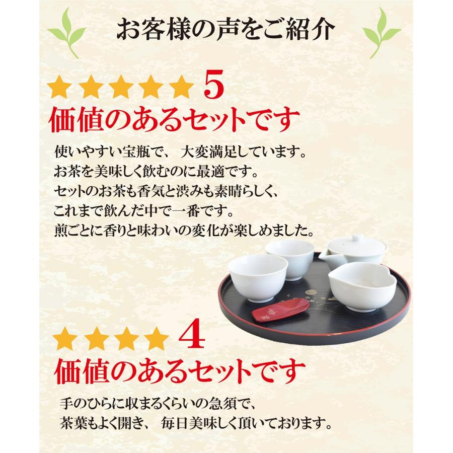 急須 白磁製 宝瓶 ほうひんセット 急須茶器セット 160ml 煎茶横沢15g