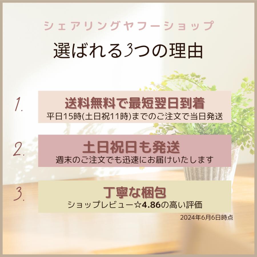 遊戯王オフィシャルカードゲーム デュエルモンスターズ 遊戯王 アート