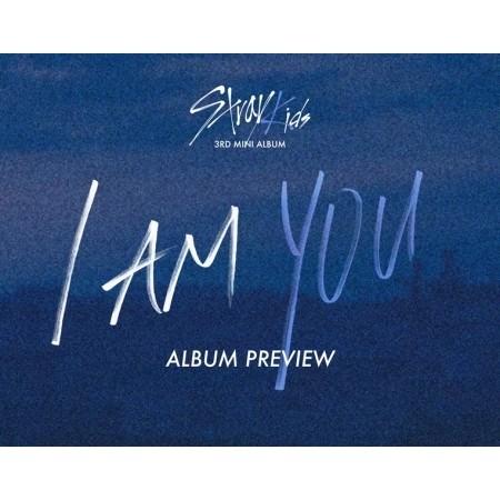 STRAY KIDS I AM YOU 3RD MINI ALBUM ストレイキッズ 3集 ミニ