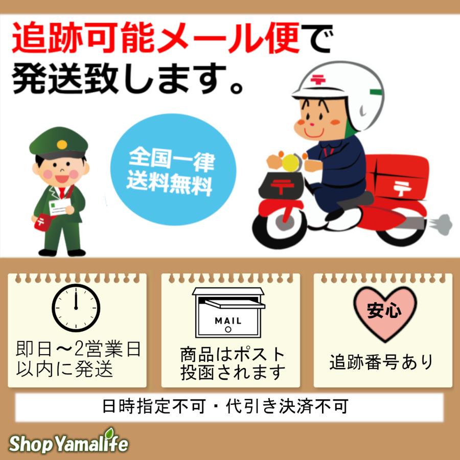 キラーバーナー2 KILLER BURNER 2 キラーバーナー 45粒 機能性表示食品