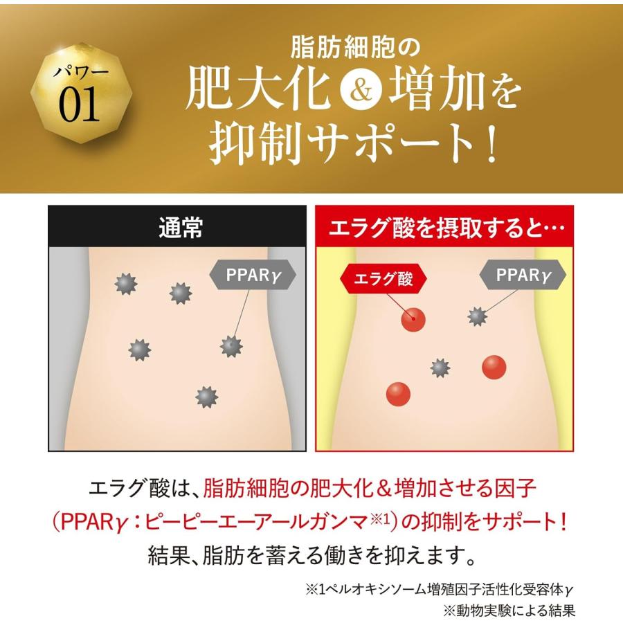 キラーバーナー2 45粒 サプリメント 送料無料 KILLER BURNER 2