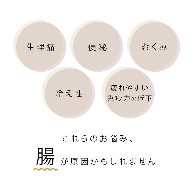 薬草ハラマキ 正規品（レギュラーサイズ）腸活 温活 眠活 生理痛 便秘