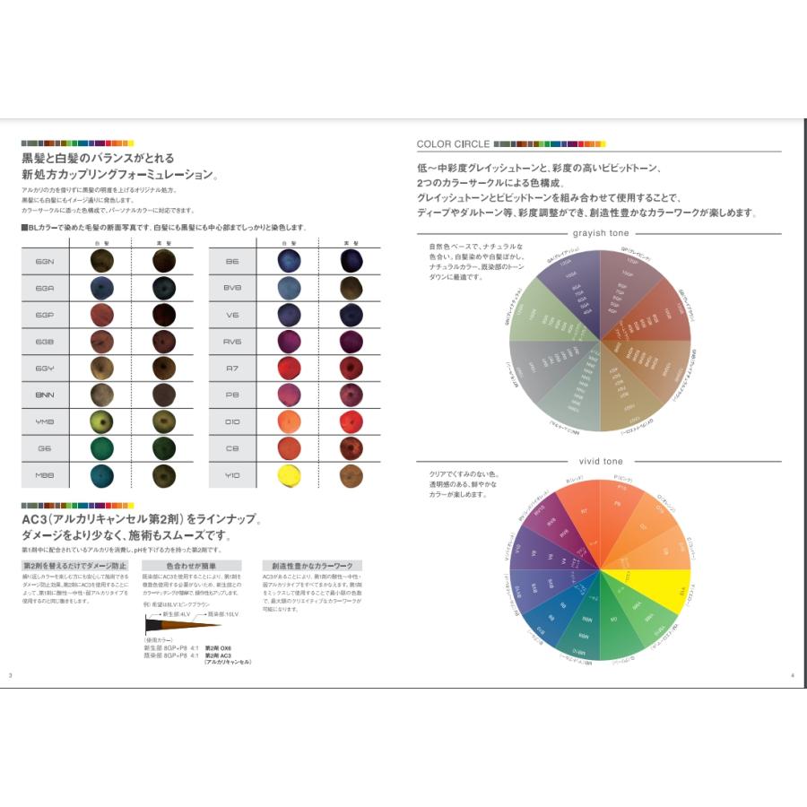 FIOLE（フィヨーレ） BLカラー 10GP 120g (FIOLE ヘアカラー剤 1剤