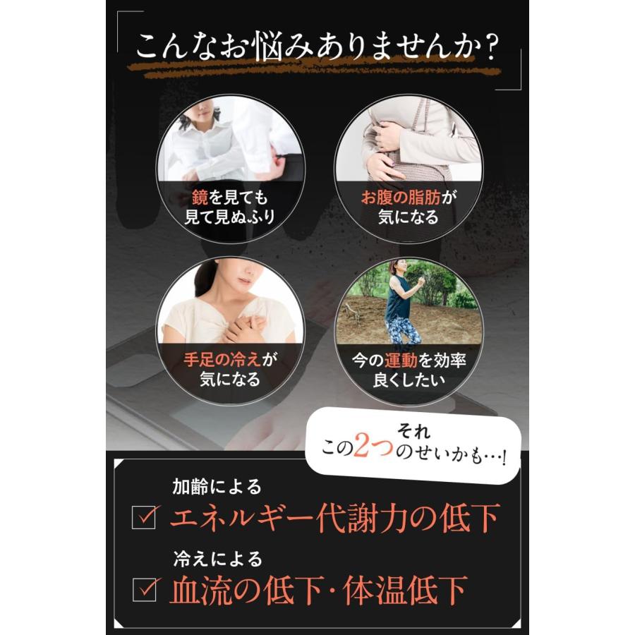 スリリンファイア SLILIN F 90粒 温活 脂肪燃焼 皮下脂肪 ブラック