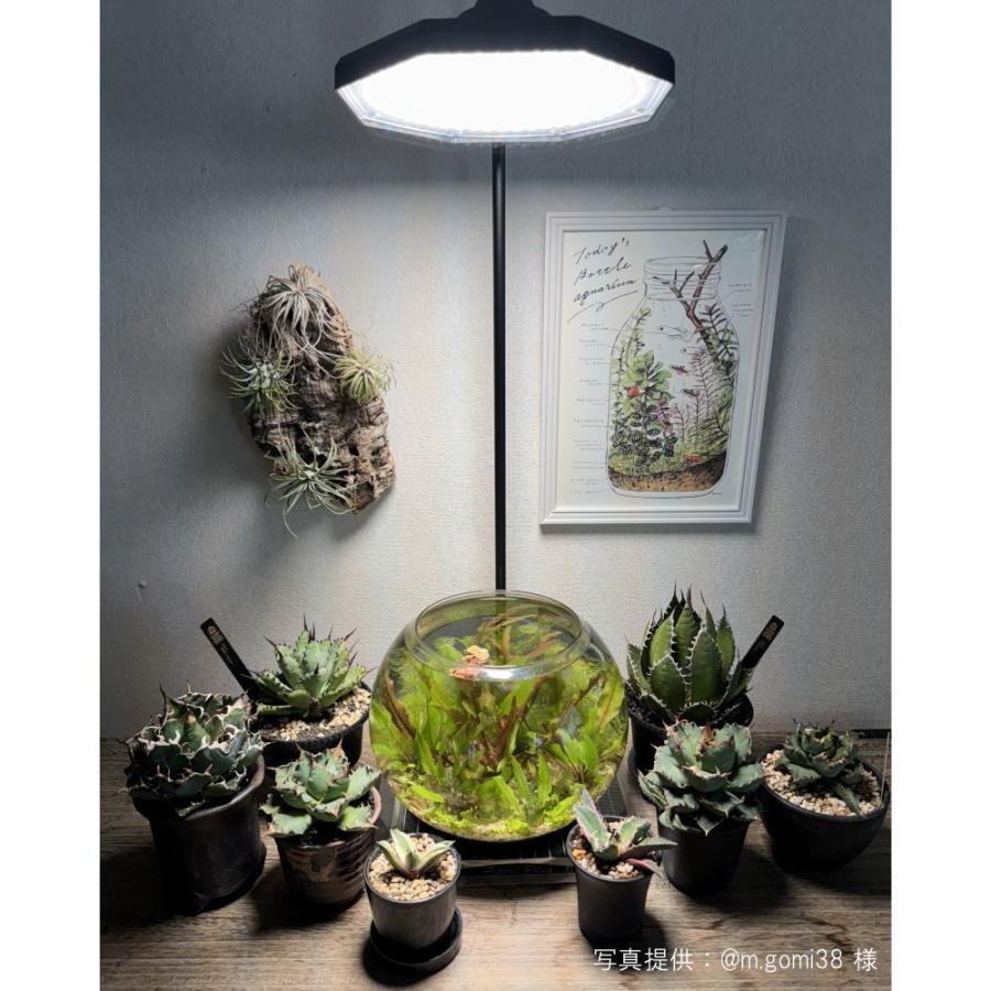 BARREL公式 植物育成 LEDパネルライト 【ROKI-Octagon-50W-BK/WH】ロキ