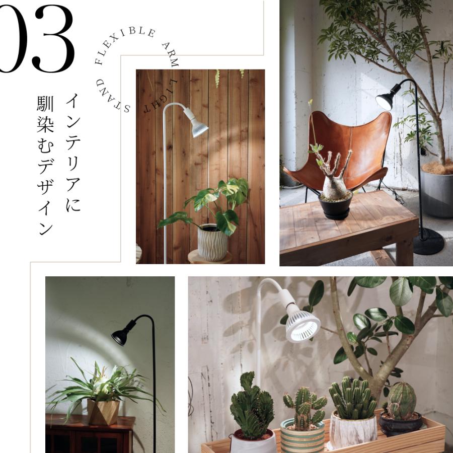 BARREL公式 フレキシブルアームライトスタンド ホワイト 高さ調節機能