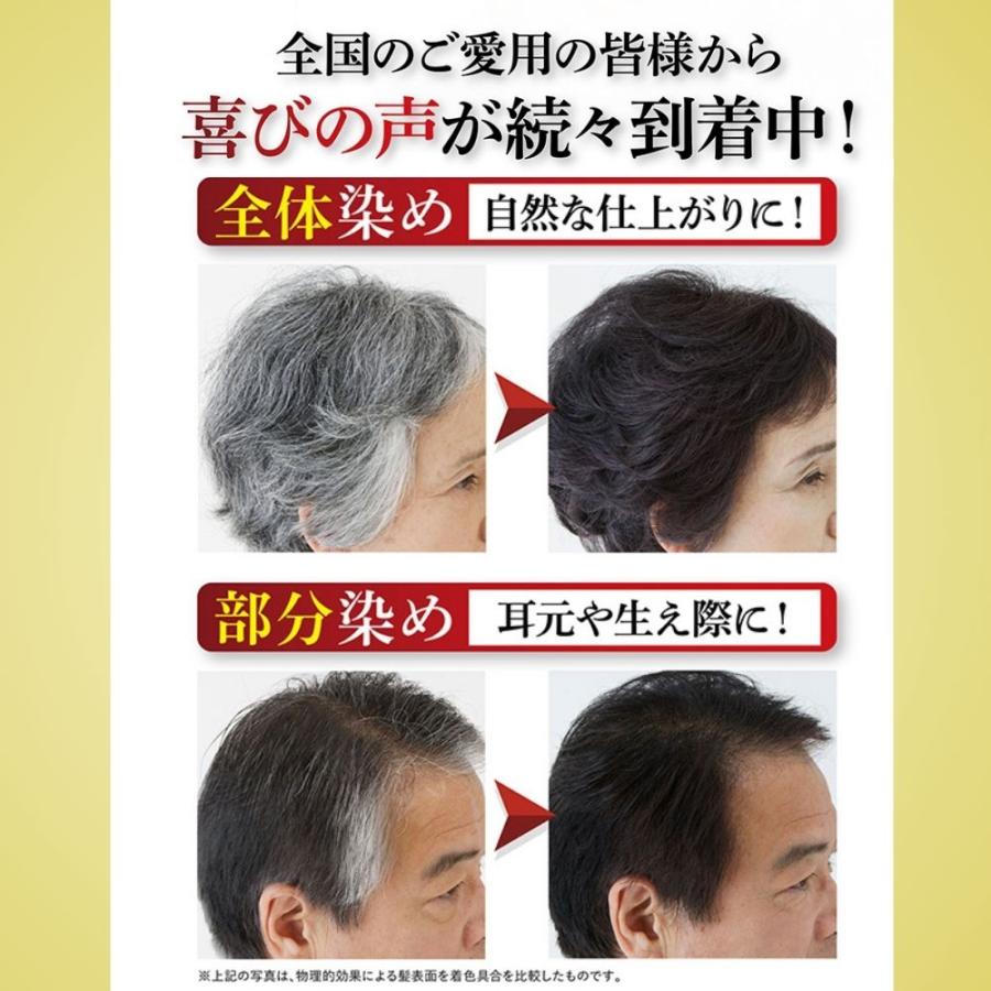 白髪染め サンカラーマックス ブラック 男性用 75g ヘアカラー 3本