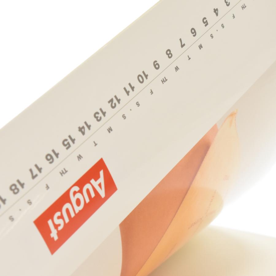 Supreme（シュプリーム） 2001 PHOTOGRAPHS BY JAMIL GS カレンダー