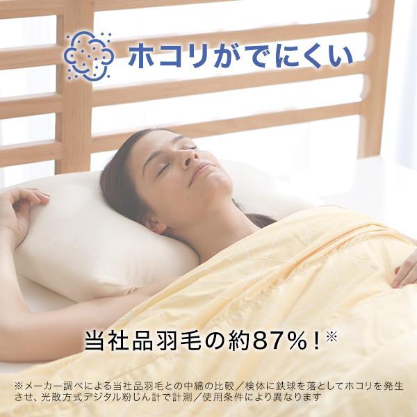 トゥルースリーパー（True Sleeper） 掛け布団 ホオンテック シングル