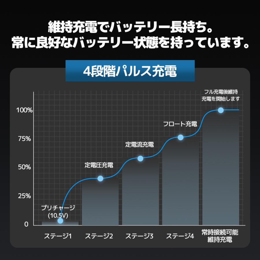 LVYUAN 新登場！全自動パルス充電器 40A 12V/24V鉛/LiFePO4 12V